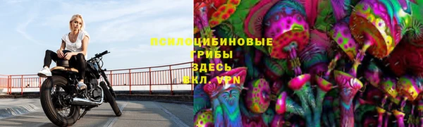 2c-b Алзамай