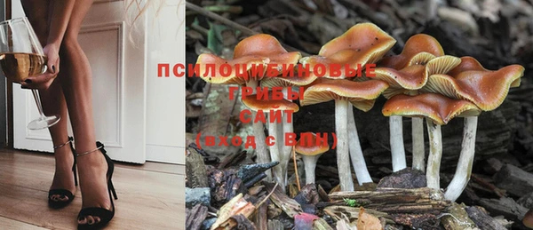 экстази Алексеевка