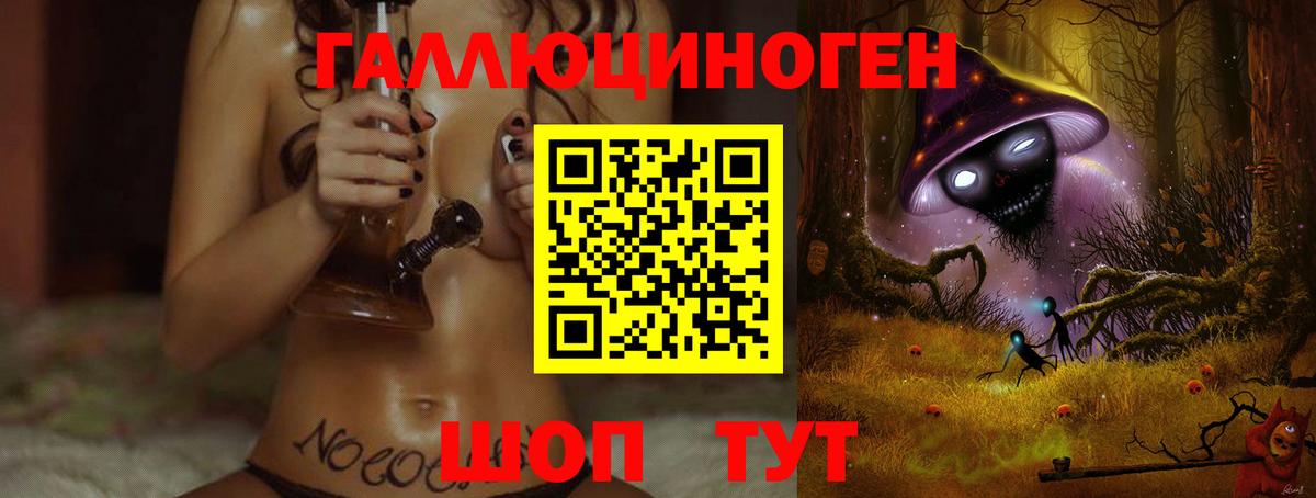магазин продажи наркотиков  Вход с VPN  Сосновоборск  Псилоцибиновые грибы GOLDEN TEACHER 