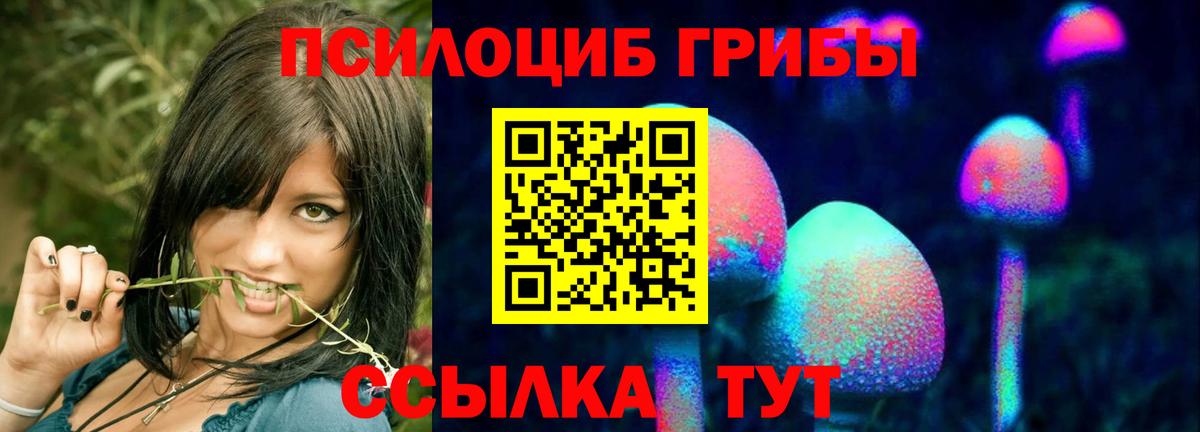 ГАШ  Гашиш  АМФ кристаллы  МЕФ   Меф  APVP СК   Сосновоборск  Конопля  МЕТ  Наркошоп  Вход с VPN 